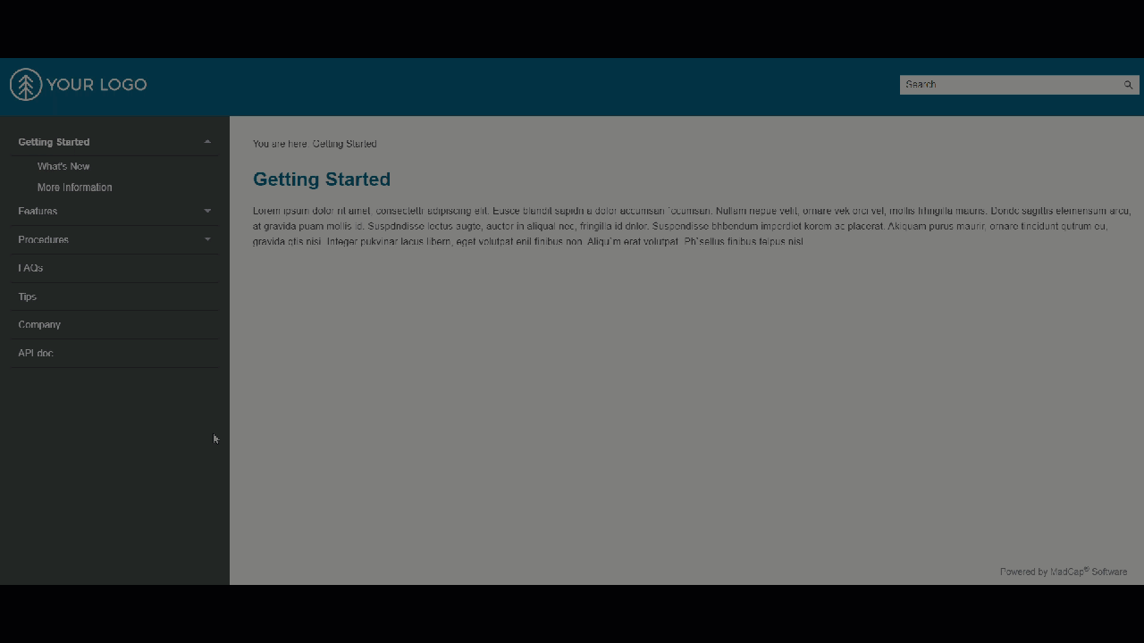 How to Implement Swagger UI in MadCap Flare for API Documentation